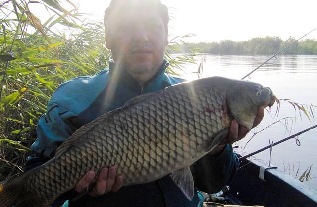 capturi - im000696.jpg